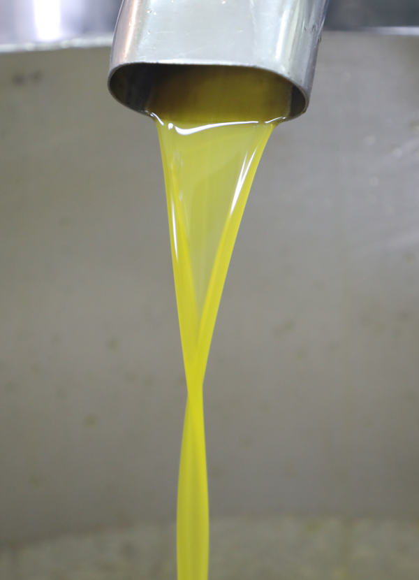 Frantoio Oleario Caramola Olio Extravergine d'Oliva di Basilicata